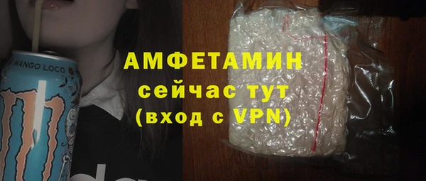шишки Беломорск