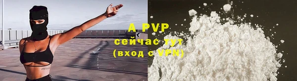 шишки Беломорск