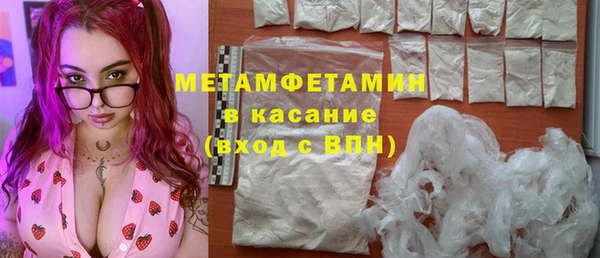 шишки Беломорск