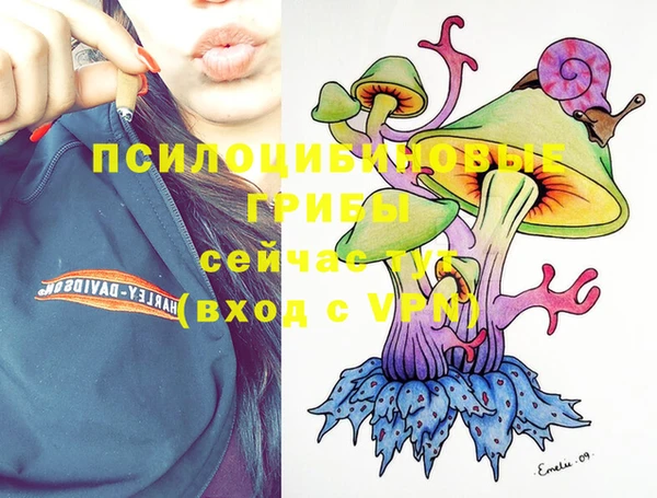 кокс Белокуриха