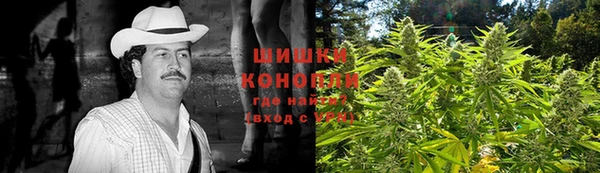 кокс Белокуриха