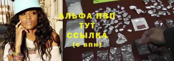 шишки Беломорск