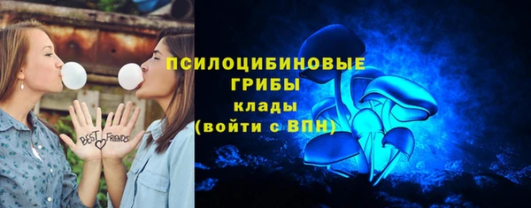 шишки Беломорск
