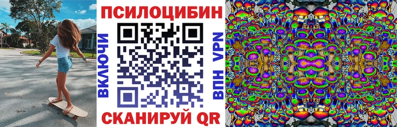 что такое   Волосово  Псилоцибиновые грибы Magic Shrooms 