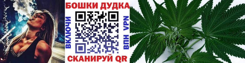 площадка клад  Волосово  Бошки марихуана Amnesia  гидра зеркало 